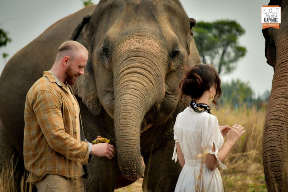 Pattaya: Elephant Jungle Sanctuary Feeding Experience - Full Description