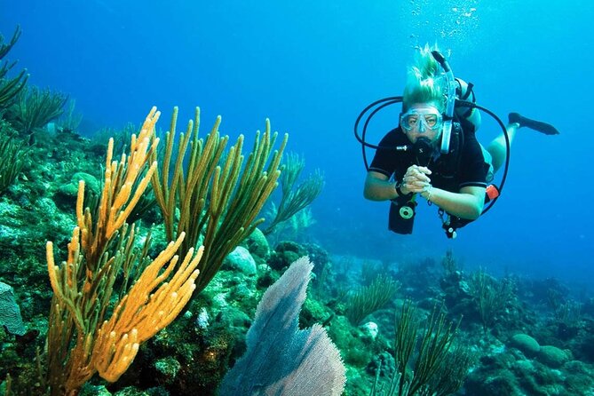 Pattaya PADI Beginner Scuba Diving One Try Dive Depth 6 Meters and Snorkeling ) - Lunch and Refreshments Included