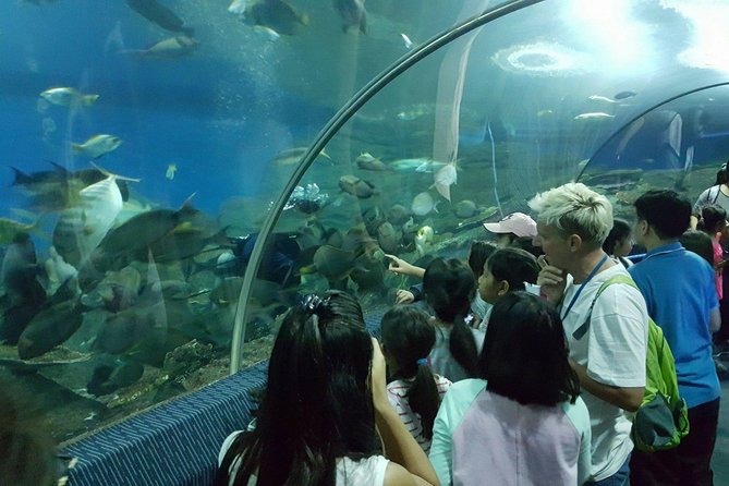 Pattaya Underwater World - Discover Ocean Treasures - Verified Reviews and Ratings