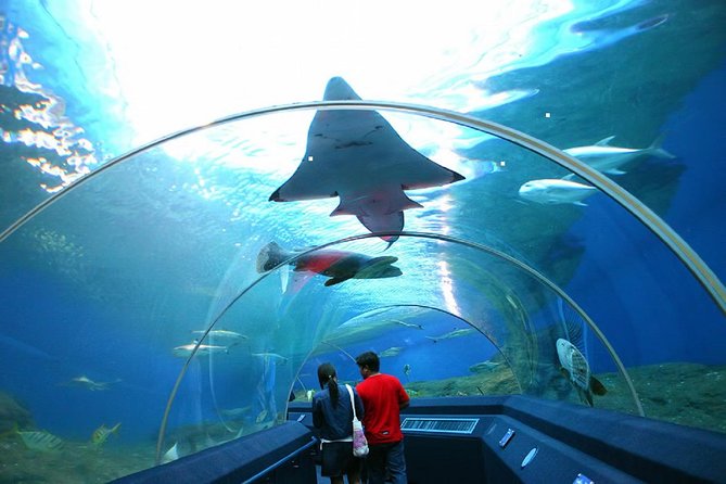 Pattaya Underwater World Tickets - Group Size Limit