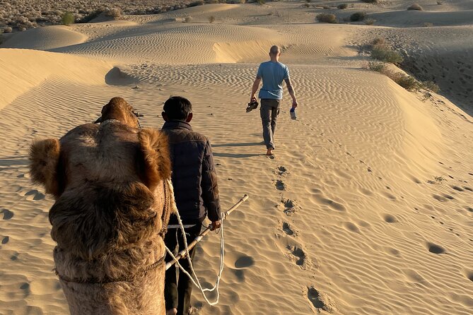 Peaceful Non -Touristic Sunset Camel Safari With Dinner - Last Words