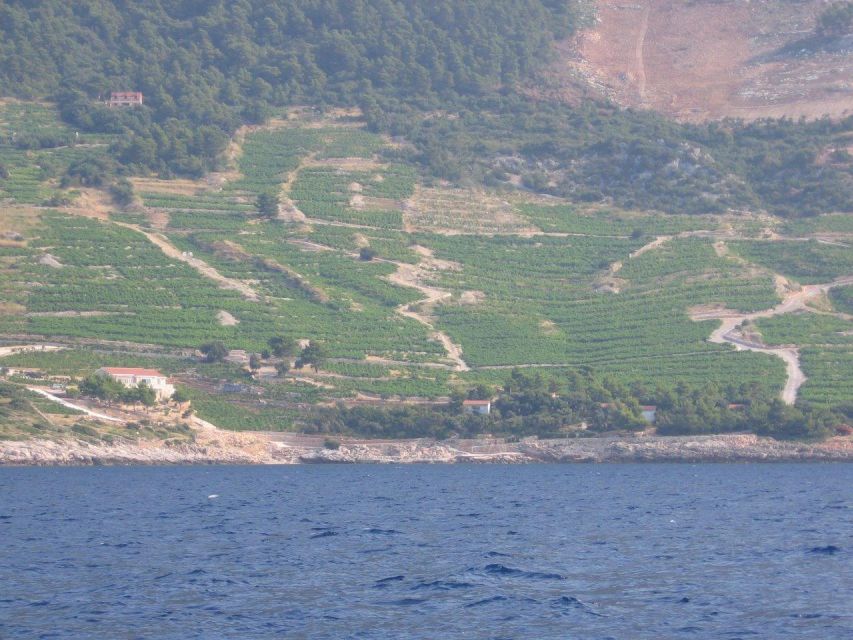 Peljesac Peninsula & Korcula Island Day-Trip From Dubrovnik - Tour Highlights