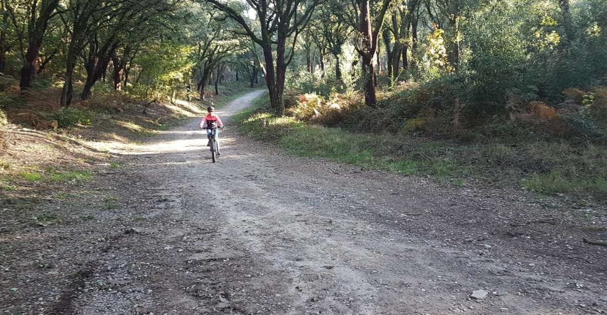 Peneda Gerês National Park: Self-Guided Electric Bike Tour - Tour Highlights