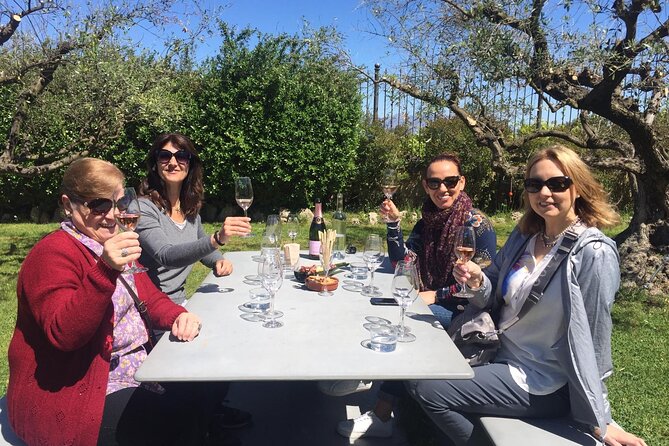 Penedes and Cava Winery Small Group Tour - Winery Visits and Guide