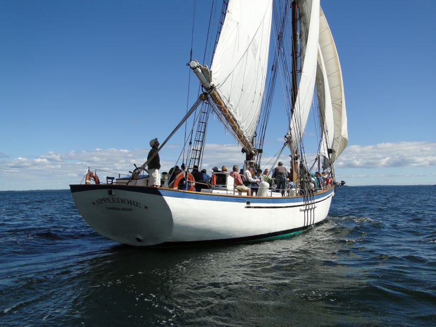 Penobscot Bay: Historic Schooner Day Sailing Trip - Overall Rating