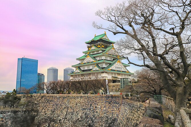 Perfect 4 Day Sightseeing in Japan - English Speaking Chauffeur - Day 3-4: Cultural Immersion in Osaka
