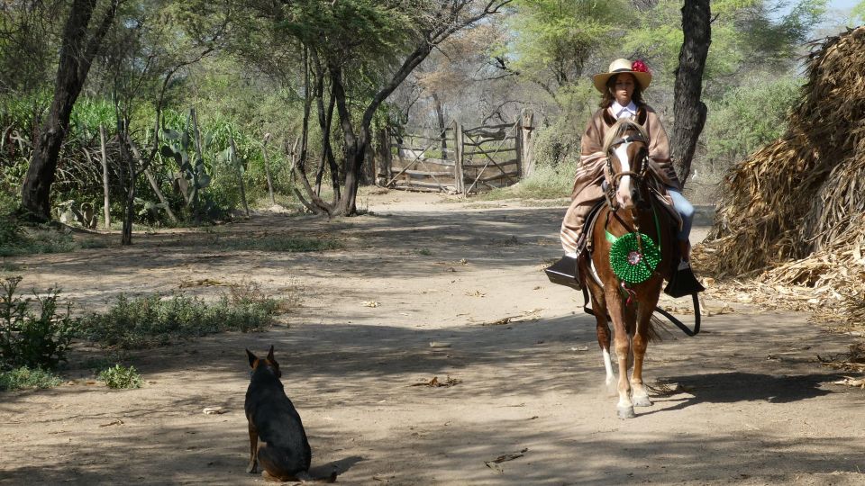 Peru,: 4 Hours Horseback Riding and Ancient Pyramids - Participant Information