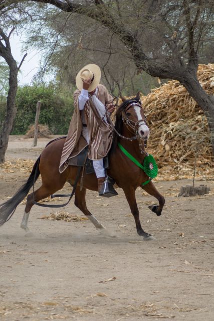 Peru, Chiclayo: 1 Day Horseback Riding and Ancient Pyramids - Inclusions