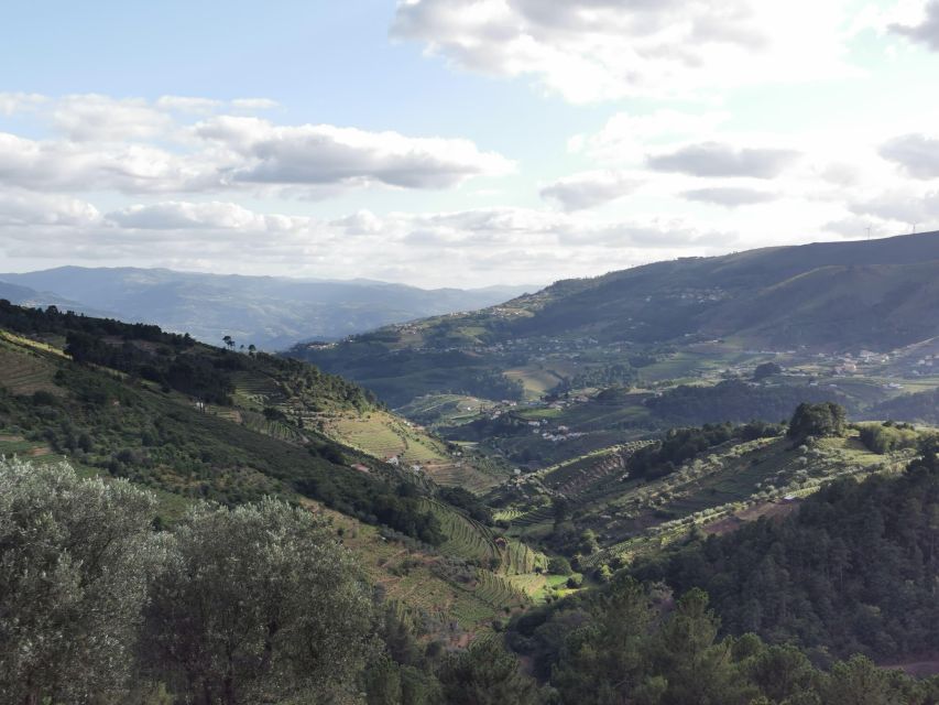 Peso Da Régua: Douro Valley Tour With Lunch and Wine Tasting - Wine Tasting Experience