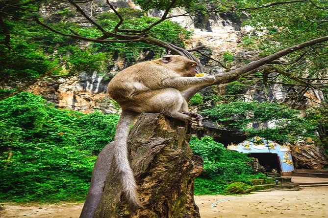 Phang Nga Bay by Long Tail Boat With Canoeing Trip - Scenic Wonders of Phang Nga Bay