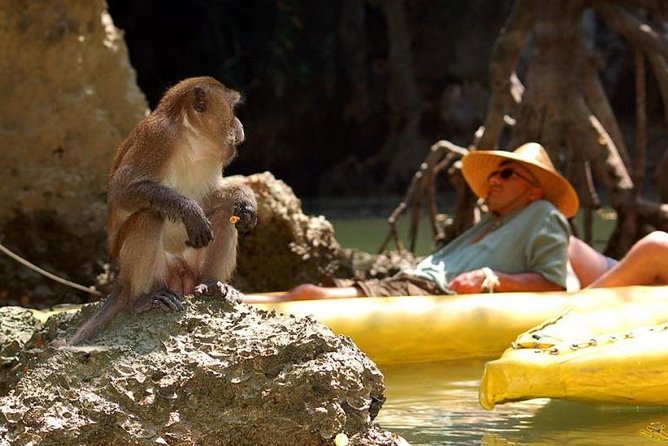 Phang Nga Bay Starlight by John Gray Sea Canoe - Booking Information