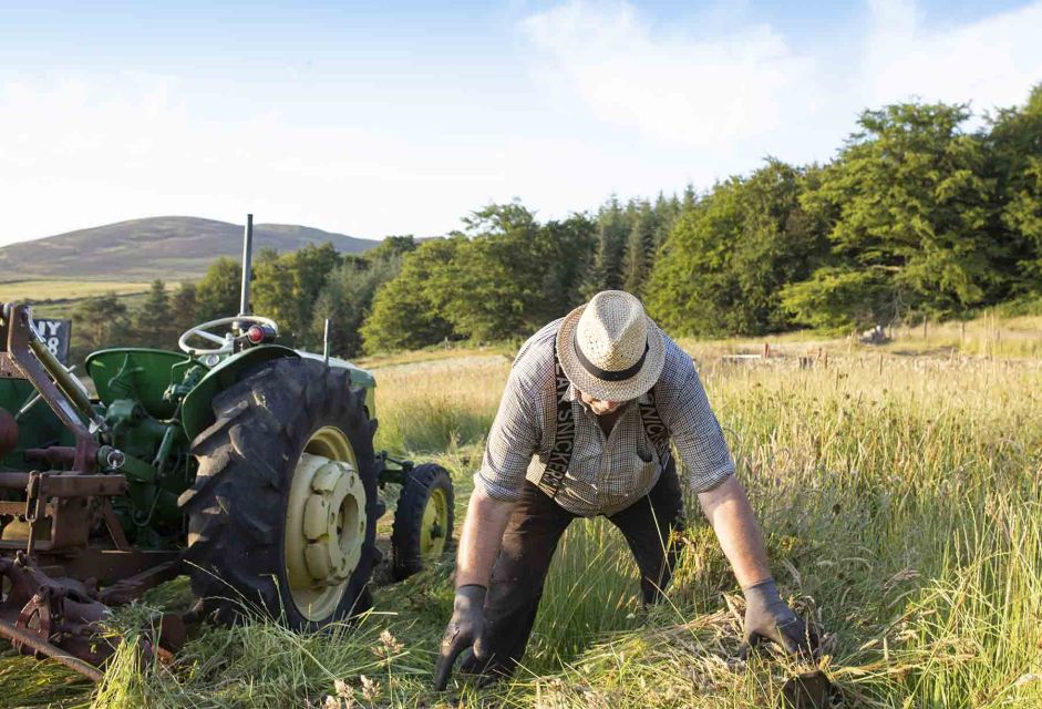 Photography Tour of Carlingford & Surrounding Area - Captivating Landscapes