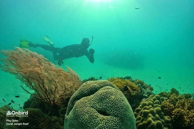 Phu Quoc Private Coral Jungle Reef Snorkel Tour - Group Size and Cancellation Policy