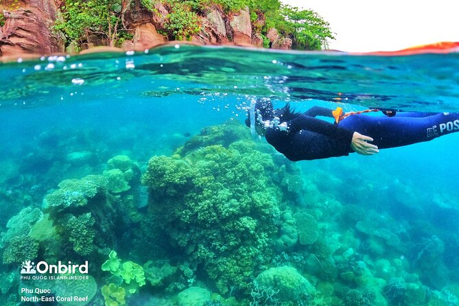 Phu Quoc Private Half-Day Snorkeling Adventure - Booking Expectations