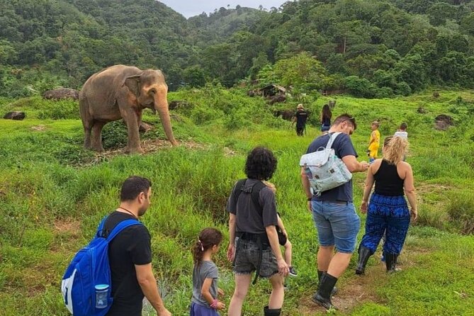 Phuket Best: City Tour & Elephant Park Experience - Meeting, Pickup, and Cancellation Policy