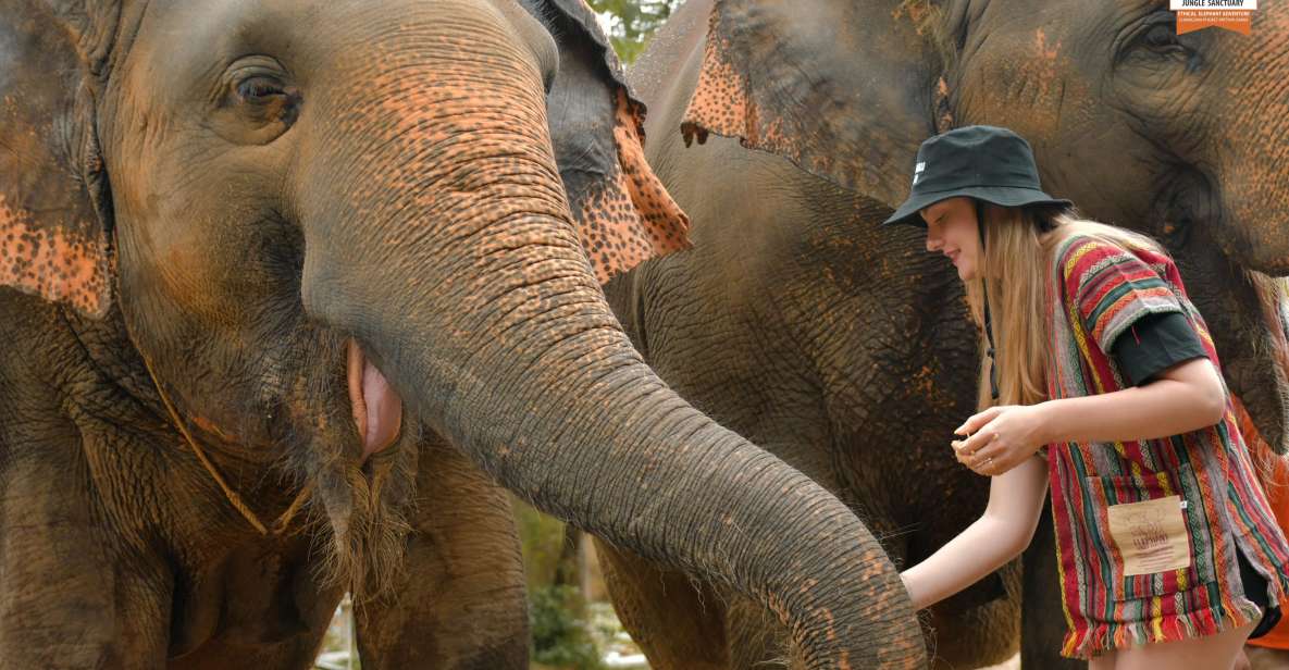 Phuket: Elephant Jungle Sanctuary Ethical Feeding Experience - Logistics