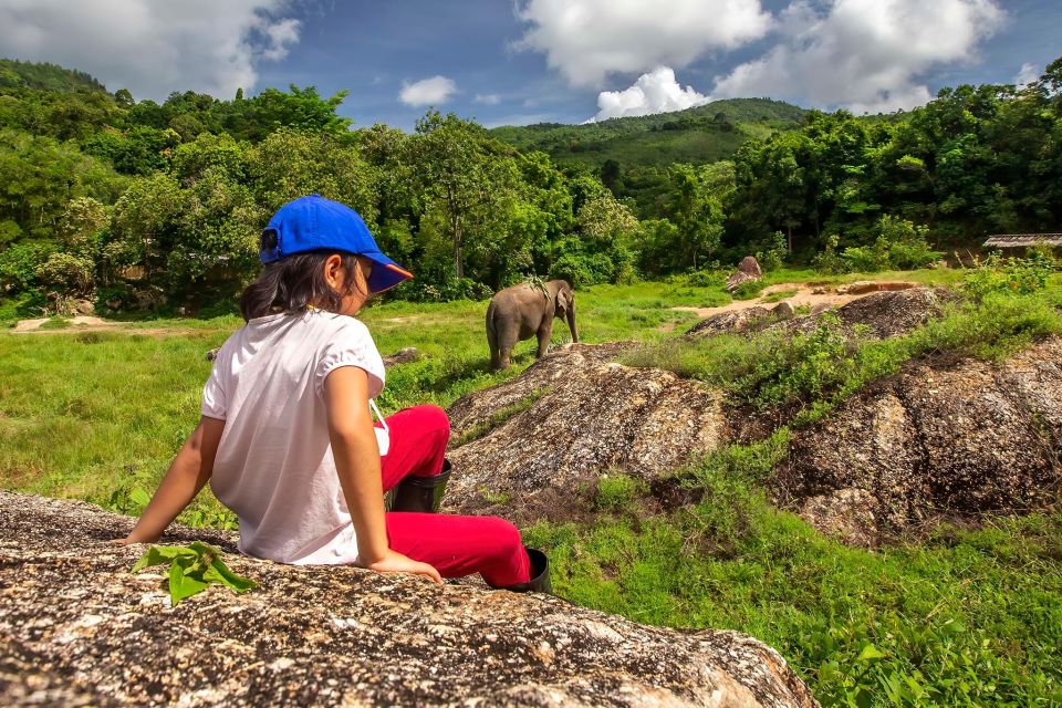 Phuket: Ethical Elephant Nature Park Visit With Lunch