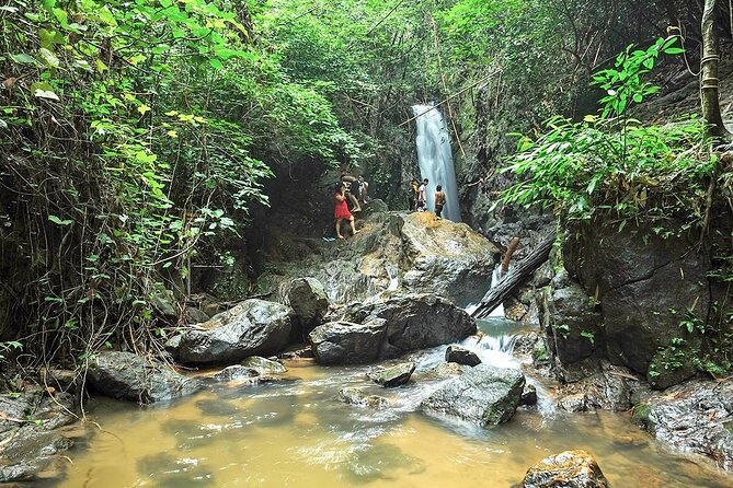 Phuket Jungle Trekking Experience at Khao Phra Taew National Park - Pricing and Details