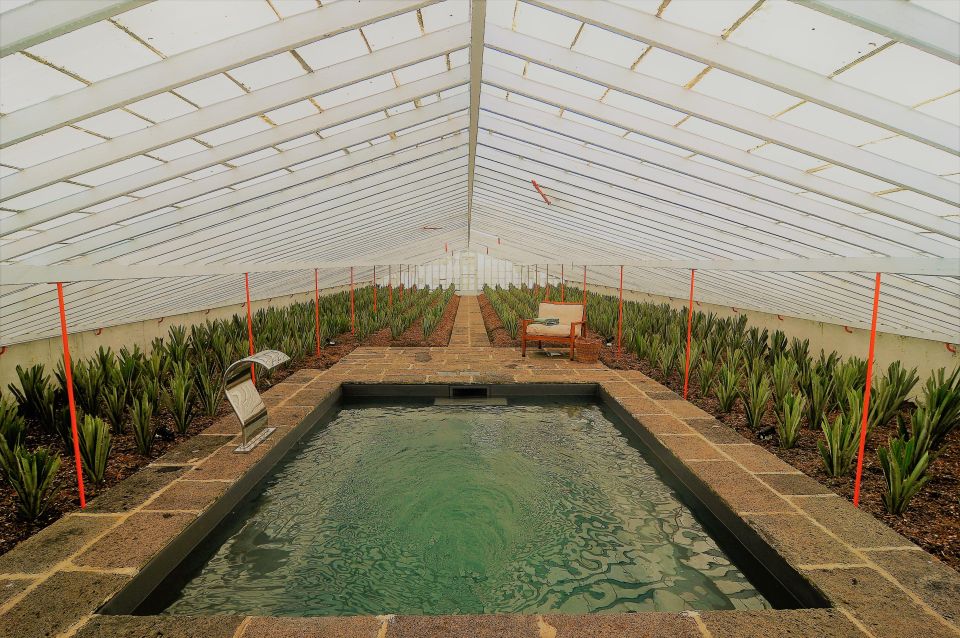 Pineapple Greenhouse Hot Tube and Pineapple Tour - Reservation Options
