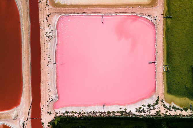Pink Lake Scenic Flyover Tour - Accessibility Details