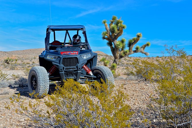 Pioneer Desert Adventure With Lunch at the Historic Pioneer Saloon! - Price Information