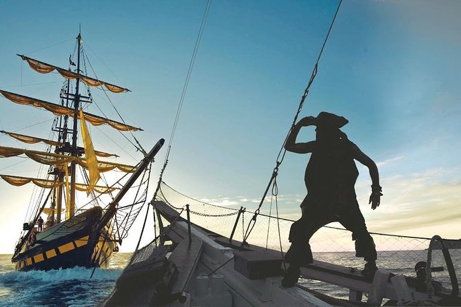 Pirate Ship Sunset Dinner and Show in Los Cabos - Maximum Capacity and Safety Regulations