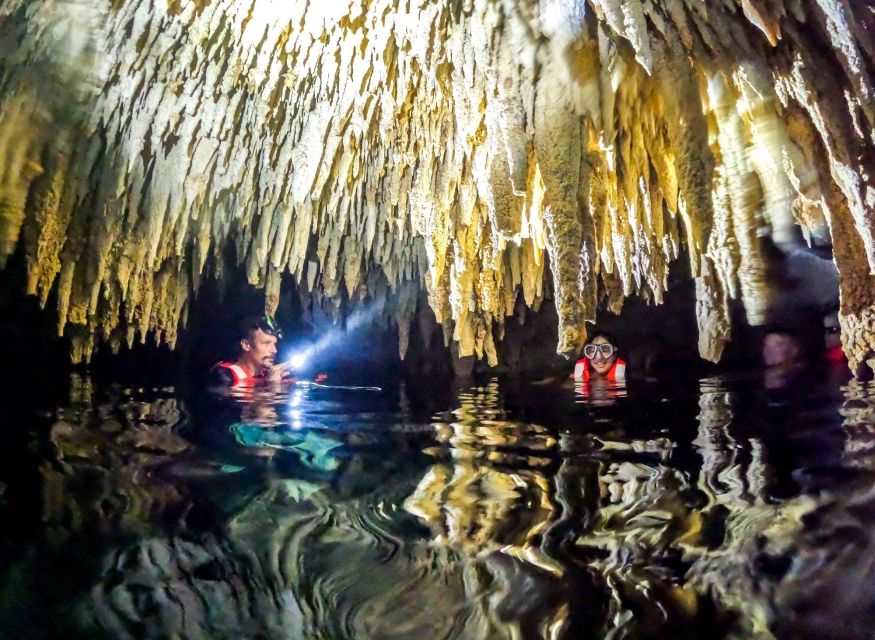 Playa Del Carmen: Cenote and Swim With Turtles Half Day Tour - Tour Description