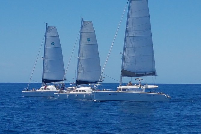 Playa Ses Platgetes Catamaran Private Trip - Cancellation Policy