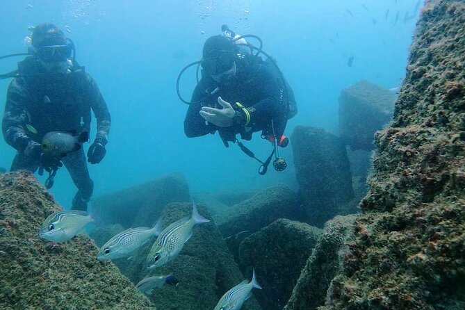 Pleasure Scuba Diving in Fujairah for Certified Diver - Equipment Checklist