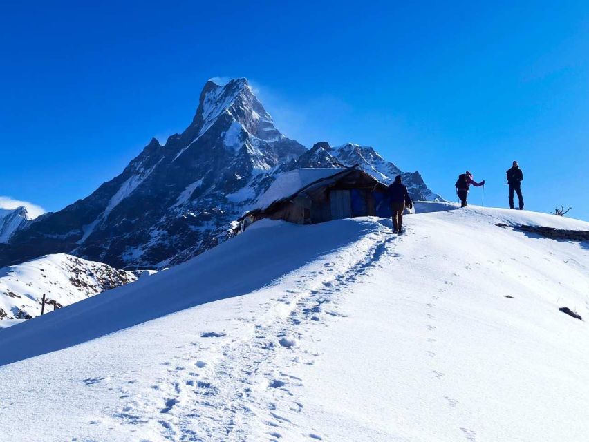 Pokhara: 4 Days Mardi Himal Trek - Experience Highlights