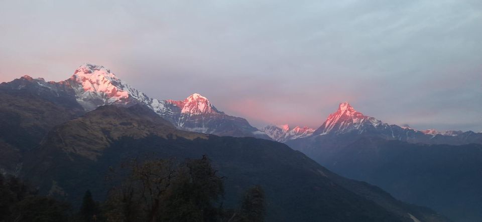 Pokhara: Guided Day Hike From Dampus To Australian Base Camp - Enjoy Sunrise Views Over Annapurna