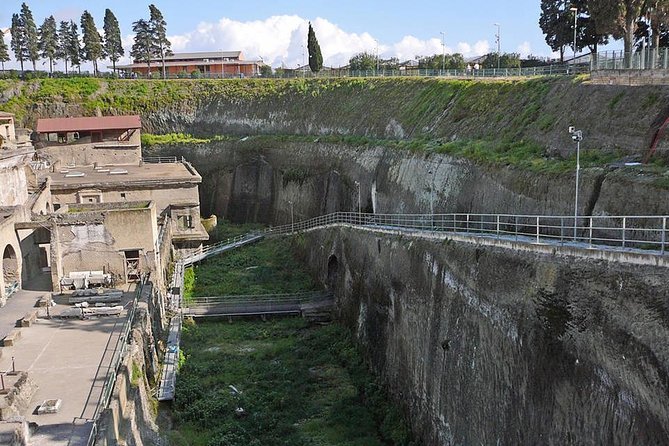 Pompeii, Herculaneum and Vesuvius Private Guided Tour - Customer Reviews