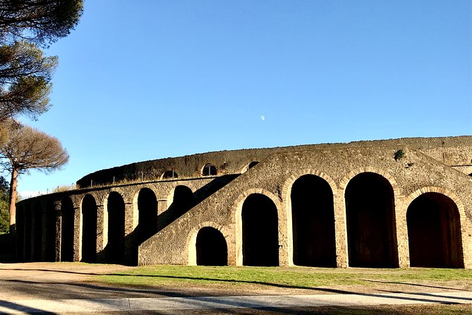 Pompeii Tour Wine & Food Tasting at Mt. Vesuvius - Inclusions