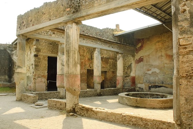 Pompeii, Vesuvius, Wine Tasting and Light Lunch All Inclusive - Booking Information