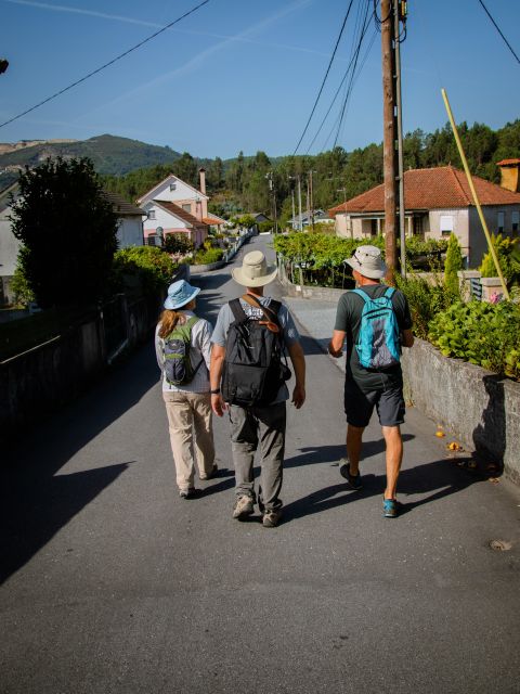 Ponte De Lima: Treasures From the Oldest Village of PT - Key Highlights