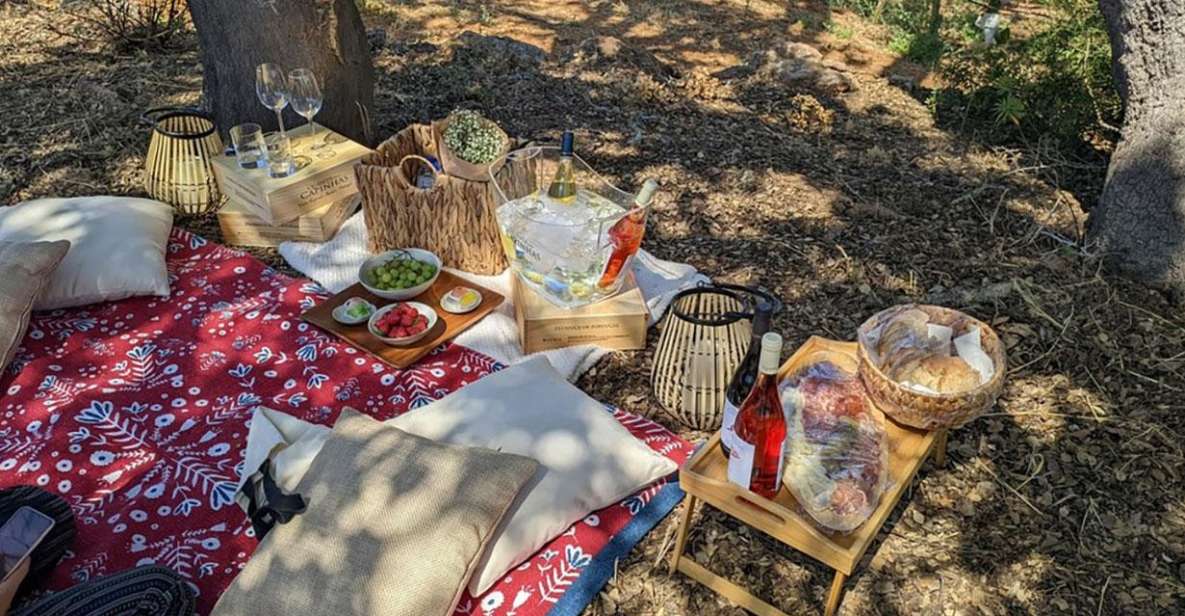 Porches: Vineyard Picnic Experience in the Algarve - Inclusions