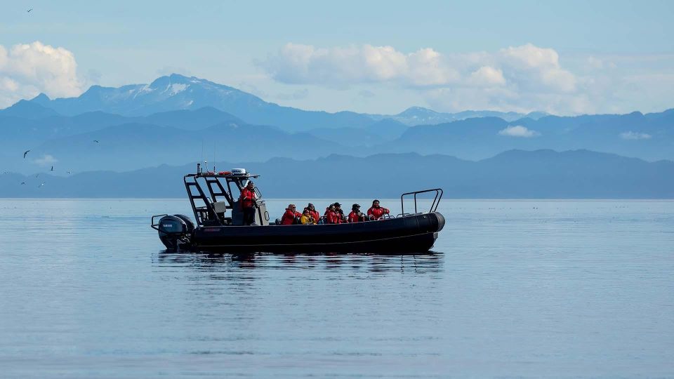 Port Hardy: Sea Otter and Whale Watching - Journey Information