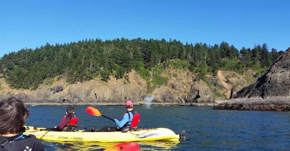 Port Orford: Kayak Tour to Orford Heads With Gear - Supplier Details