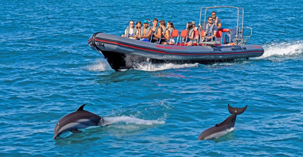 Portimão: Dolphin Watching Tour With Marine Biologist - Booking Information