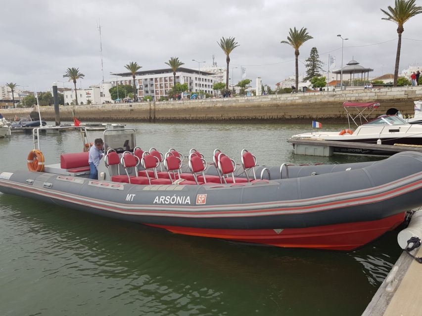 Portimão: Dophin Watching on the Algarve Coast - Booking Information