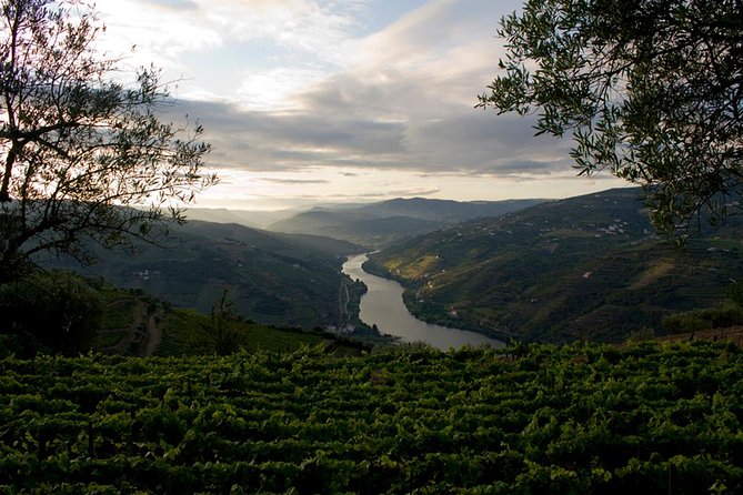 Porto: Day Trip to Douro Including Lunch and Rivercruise - Logistics and Cancellation Policy