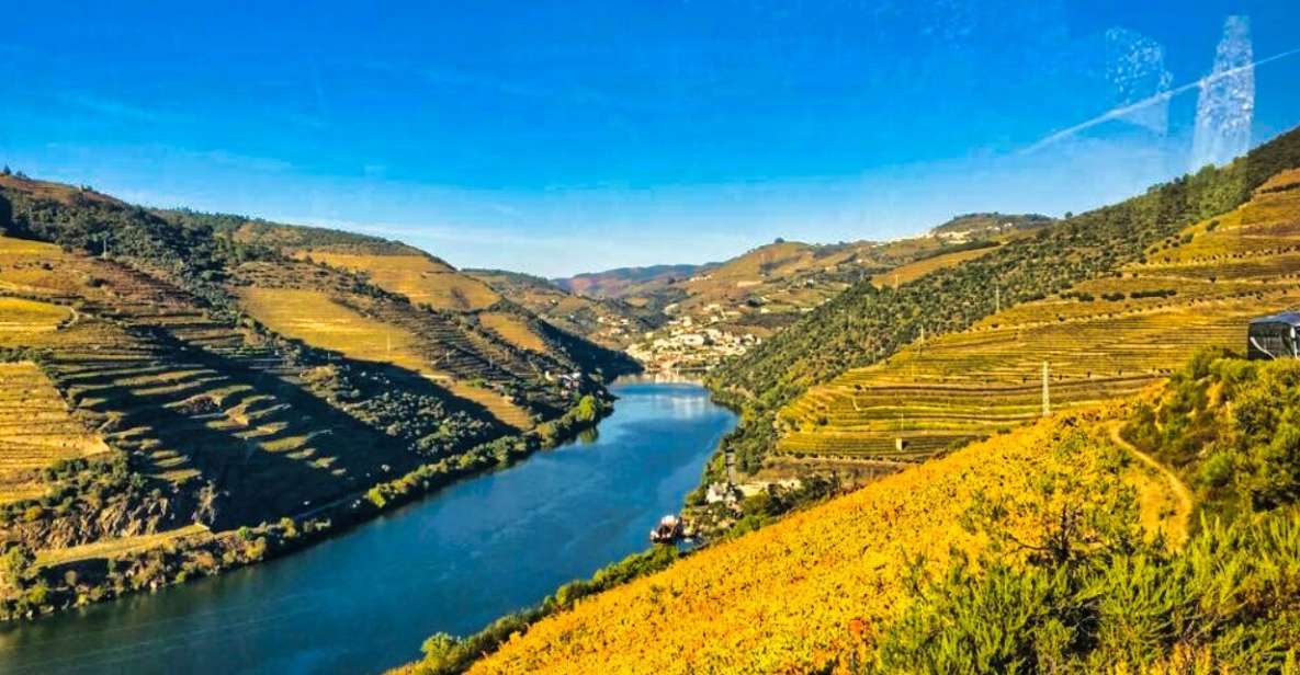 Porto: Douro Valley Tour With 3 Wineries & Lunch - Culinary Delights