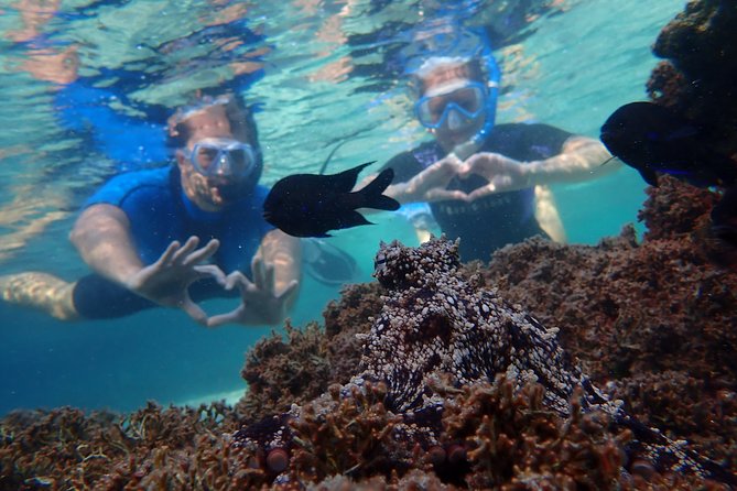 Porto Santo Snorkeling Tour - Customer Reviews