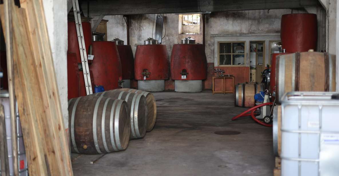 Portugal: Dao Winery Tour, Barrel Tasting and Wine Tasting - Additional Details