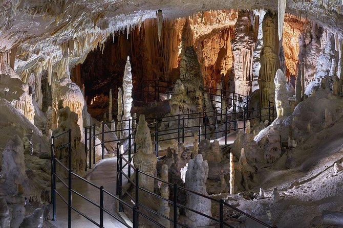 Postojna Cave & Predjama Castle - Small Group Tour From Trieste - Reviews Overview