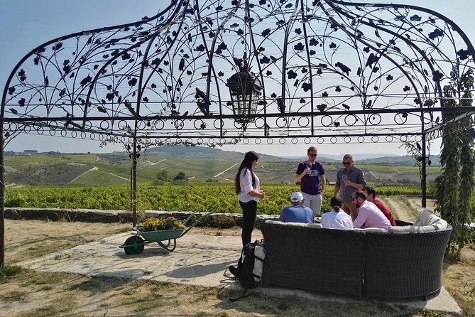 Premium Private Douro Tour: 3 Wineries With Tastings & Lunch - Booking Information & Assistance