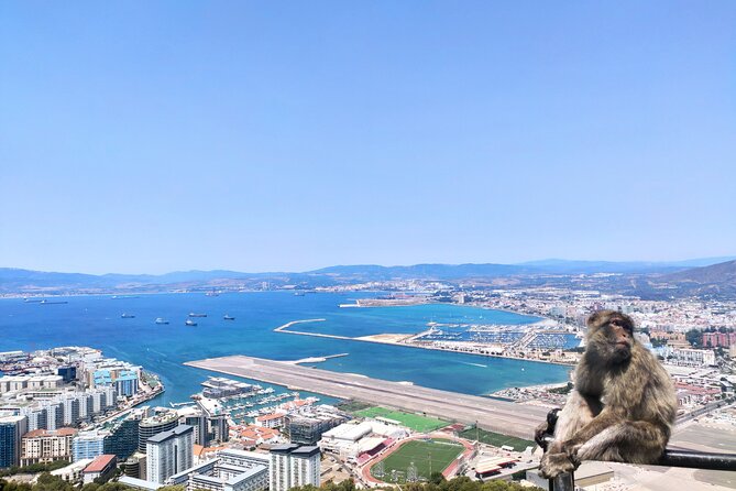 Premium Private Trip to Gibraltar From Seville (Various Options) - Refund and Rescheduling Guidelines