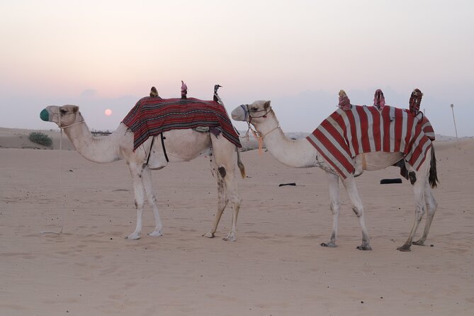 Premium PVT Desert Safari Experience - Accessibility and Physical Requirements