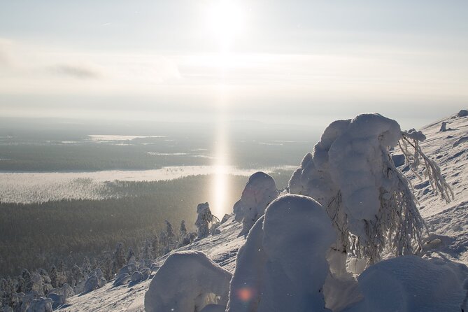 Premium Snowshoeing in Pyhä-Luosto National Park - Common questions