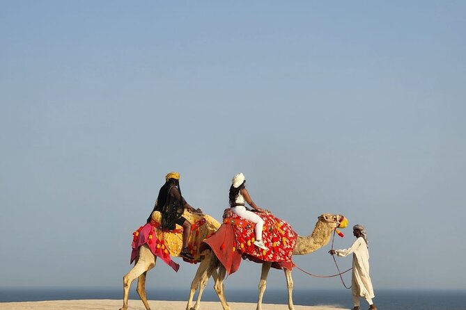 Premium Sunset Safari Tour From Doha: Sealine, Sand Dunes, and Beach - Premium Services Offered